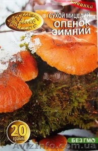 мицелий опят порошковый #718507