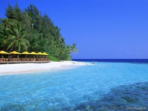 Продам свой участок на берегу моря #717475