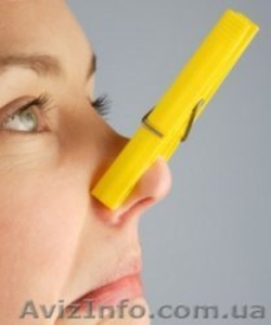 Озонирование. Дезинфекция. Сонация. Убрать запах. Грибок на стенах #708120