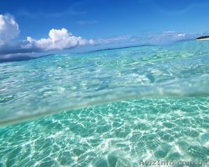 Участок в Счастливцево #707087