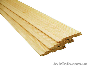 Лиственница сибирская Запорожье Украина #153137