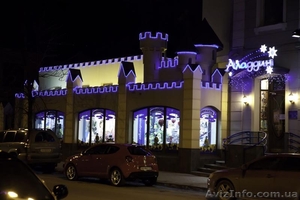 Световой шнур,  гирлянды диодные #719336