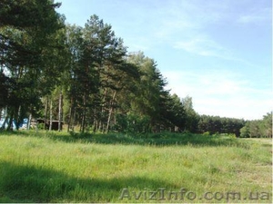 Продаётся участок земли в сосновом лесу,  под строительство гостиницы  #713841