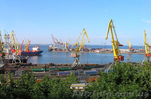 Таможенный-Брокер все виды услуг #728689