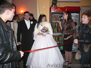 Организация свадеб без затрат #719347