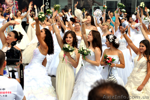 Професиональный фотограф #712938