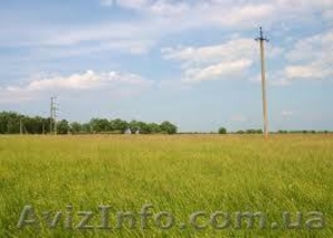 Продам участок в Приозерном #707728