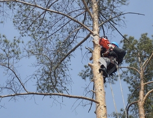 Демонтажные работы . Разборка домов,  Снос строений #716036