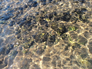 Частный пансионат Уют #717284