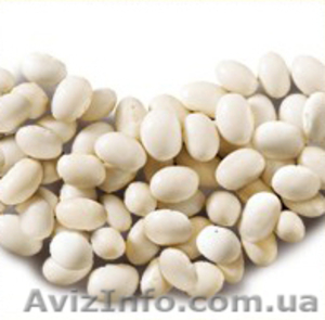 Продам грецкий орех и фасоль #726363