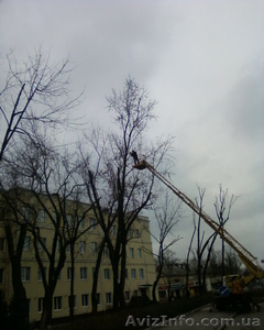 Удаление деревьев Спил аварийных веток Выкорчевка пней #716033