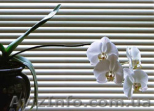 Горизонтальные жалюзи купить в . Заказать горизонтальные жалюзи. #703825