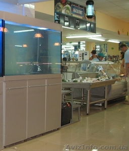 Торговые аквариумы для продажи живой рыбы #719729