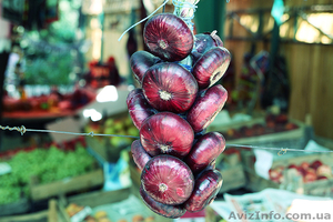 Настоящий Ялтинский(крымский) лук #721118