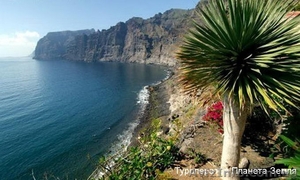 Земля на море! Продам #717458