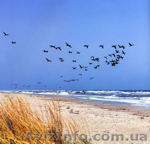 Продаю участок на расстоянии 300 м от моря #707165