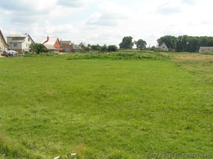 Участок в Черниговской обл. #703819