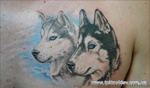 Татуировки Киев,  салон тату Киев,  сделать татуировку в Киеве фото #714043