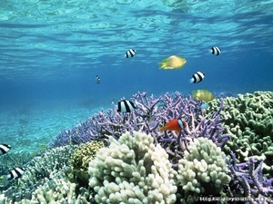 Участок в с. Геническая Горка. НЕДОРОГО! #717465