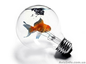 электрика проводка в квартире #708279