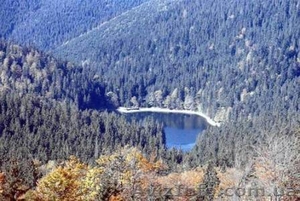 Гарячы тури в Карпати,  Крим,  моря світу від Тур агентства 