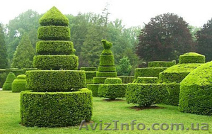 професиональный уход за садом #711892