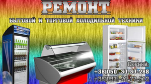 Ремонт бытовой и торговой холодильной техники! #715440