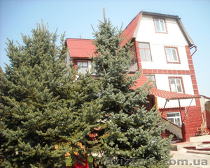 Продается дом Киевская область в Хотове,  купить дом под Киевом недорого #742498