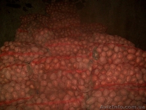 Леонід, 0630230108 #738592