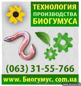 Продам технологию производства биогумуса в Харькове,  Украина #741745