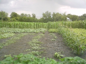 Земельный участок 34 сотки,  Одесская обл. #732061