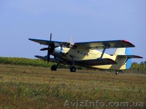 Десикация подсолнечника дельтаплан. Десикація соняшнику сельхозавиация #732688