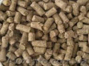 Комбикорм для цыплят бройлера ТМ Наша Ряба #747548