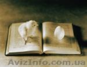 Написание автореферата диссертации ВАК. Автореферат диссертации на заказ. Провер #742568