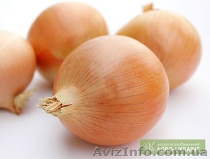 Алиев Тимур Овощи #731166