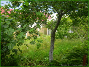 Участок 6, 5 соток на  ул.Ромашковой  #743149