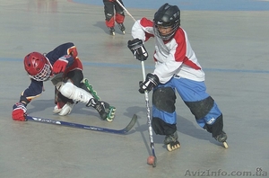 хоккей на роликах #747556