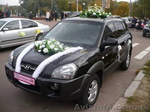 Прокат автомобиля на свадьбу в Чернигове #739207