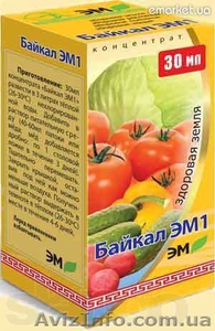 Микробиологическое удобрение