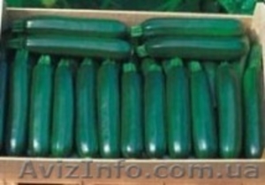 Профессиональные семена овощей всех компаний #746361