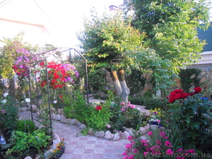 Ваши желания - в основе проекта ландшафтных работ,  проводимых компанией ООО «В  #741928