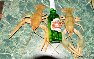 Жак Ив Кусто Доставка эксклюзивных морепродуктов Раки Алтайские #745357