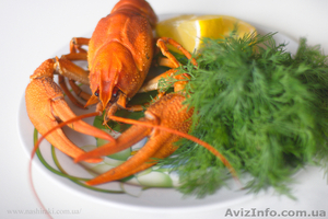 Жак Ив Кусто Доставка эксклюзивных морепродуктов Раки  #745378