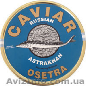 Икра породы осетровых черная Hayko (Хайко) #741045