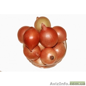 Лук репчатый оптом Крым #748230