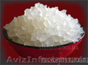 Индийский морской рис (грибок) #737937