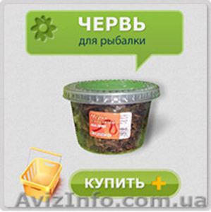 Червь для рыбалки. Разведение червей для рыбалки. Маточное поголовье червя. #730113