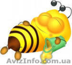 Курсы обучения работе  в системе электронного документооборота «M.E.Doc». Продаж #731049