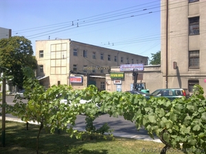 Сдаем в аренду офисные помещения #746625