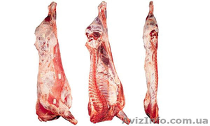 Продам говядину первой категории в полутушах! #729134